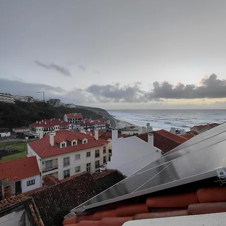 Rosa São Pedro de Muel