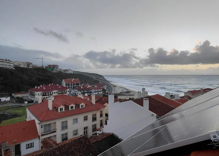 Rosa São Pedro de Muel